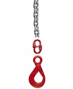 Sicherheitslasthaken